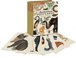 Animalium Postcard Set
