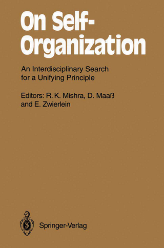 On Self-Organization
