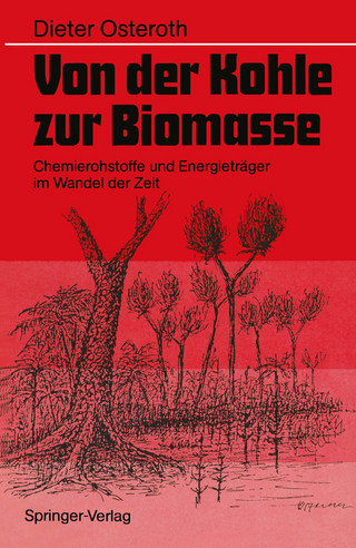 Von der Kohle zur Biomasse