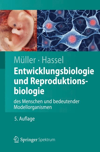 Entwicklungsbiologie und Reproduktionsbiologie des Menschen und bedeutender Modellorganismen - Werner A. M&uuml;ller, Monika Hassel