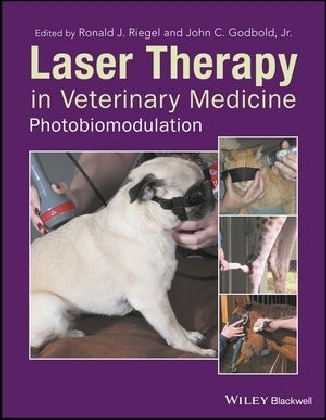 Laser Therapy in Veterinary Medicine - 