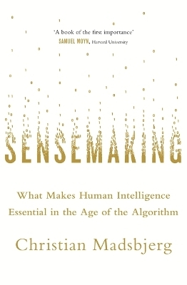 Sensemaking - Christian Madsbjerg