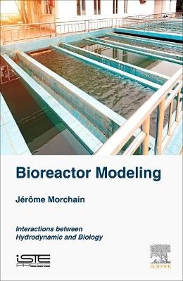 Bioreactor Modeling - Jerome Morchain