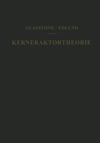 Kernreaktortheorie