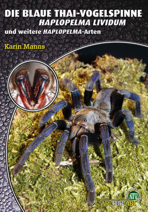 Die Blaue Thai-Vogelspinne - Karin Manns
