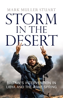 Storm in the Desert - Mark Muller Stuart