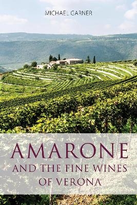 Amarone and the fine wines of Verona