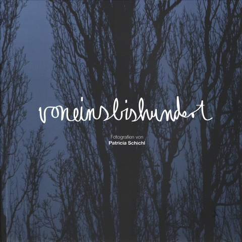 voneinsbishundert - Patricia Schichl