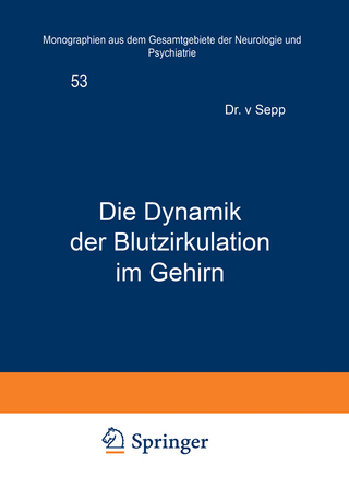 Die Dynamik der Blutzirkulation im Gehirn