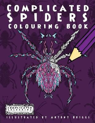 Complicated Spiders - Complicated Colouring