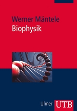 Biophysik - Werner M&auml;ntele