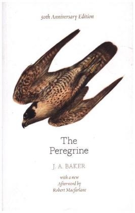 The Peregrine: 50th Anniversary Edition