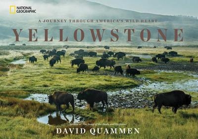 Yellowstone - David Quammen