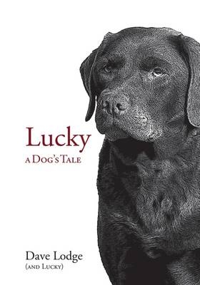 Lucky - Dave Lodge