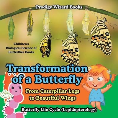 Transformation of a Butterfly -  Prodigy Wizard