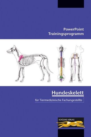 Hundeskelett - für Tiermedizinische Fachangestellte