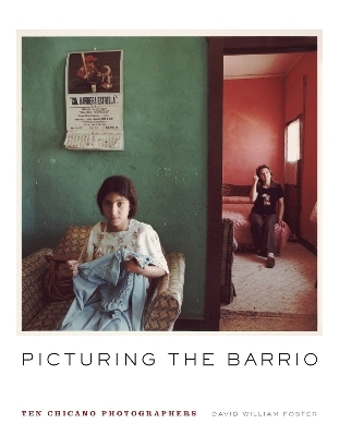 Picturing the Barrio - David William Foster
