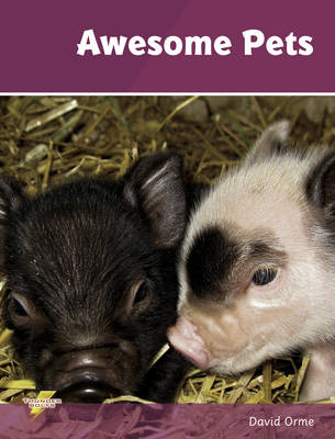 Awesome Pets - David Orme,  Orme David