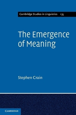 The Emergence of Meaning