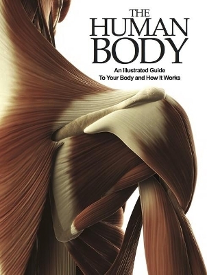 The Human Body