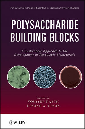 Polysaccharide Building Blocks - Youssef Habibi, Lucian A. Lucia