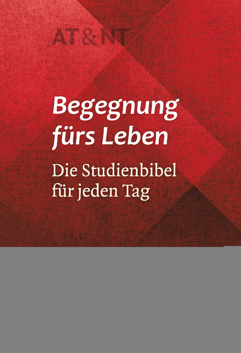 Begegnung fürs Leben, Motiv "Rhomboid"