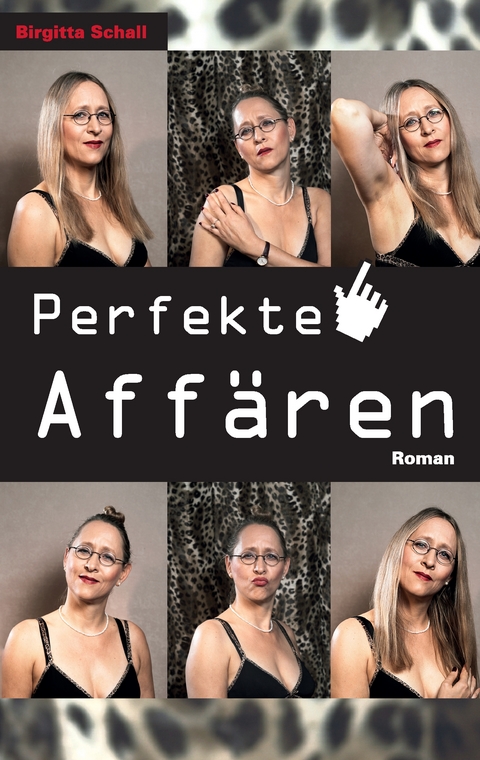 Perfekte Aff&auml;ren - Birgitta Schall