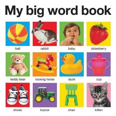 My Big Word Book - Roger Priddy