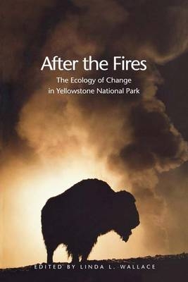 After the Fires - 