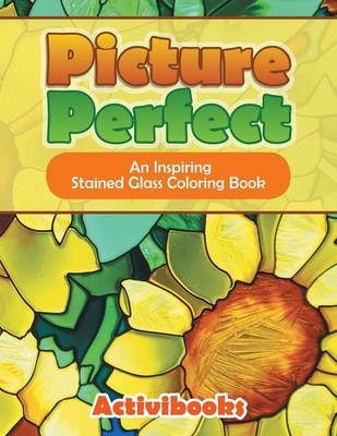 Picture Perfect -  Activibooks