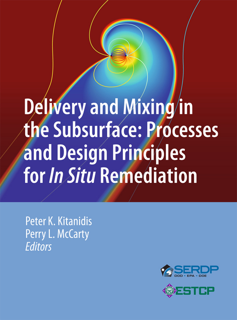 Delivery and Mixing in the Subsurface - 