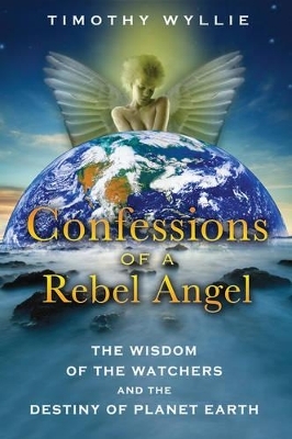Confessions of a Rebel Angel - Timothy Wyllie