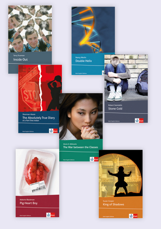 Klassenbibliothekspaket Young Adult Literature II