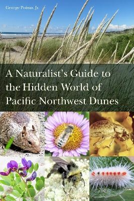 A Naturalist’s Guide to the Hidden World of Pacific Northwest Dunes