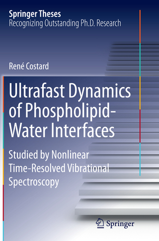 Ultrafast Dynamics of Phospholipid-Water Interfaces