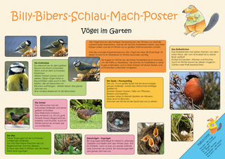 Billy-Bibers-Schlau-Mach-Poster - Singvögel im Garten
