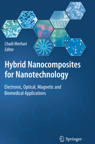 Hybrid Nanocomposites for Nanotechnology