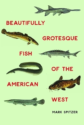 Beautifully Grotesque Fish of the American West - Mark Spitzer