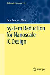 System Reduction for Nanoscale IC Design - 