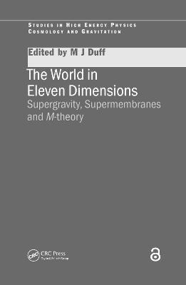 The World in Eleven Dimensions - M.J Duff