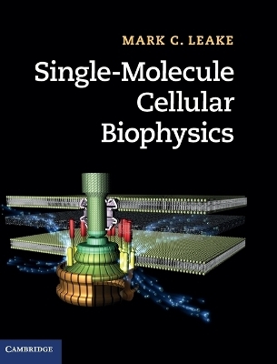 Single-Molecule Cellular Biophysics