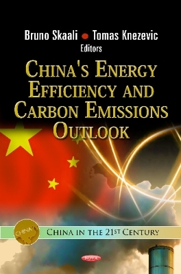 China's Energy Efficiency & Carbon Emissions Outlook - 