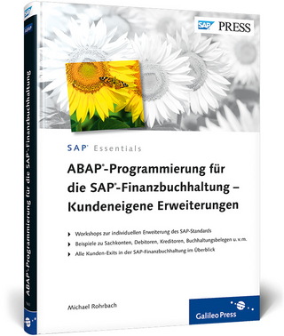 ABAP-Programmierung für die SAP-Finanzbuchhaltung – Kundeneigene Erweiterungen