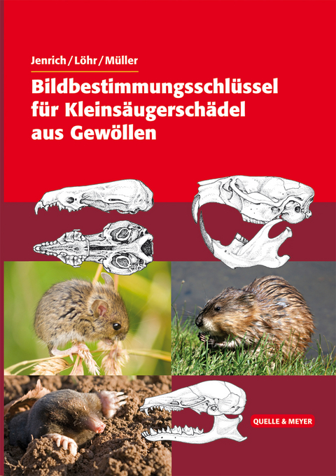 Bildbestimmungsschl&uuml;ssel f&uuml;r Kleins&auml;ugersch&auml;del aus Gew&ouml;llen - Joachim Jenrich, Paul-Walter L&ouml;hr, Franz M&uuml;ller