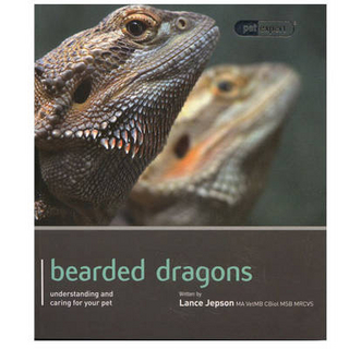 Bearded Dragon - Pet Expert