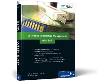 Enterprise Information Management with SAP
