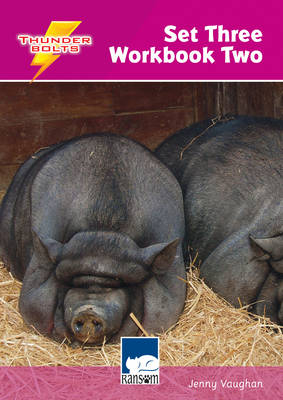 Thunderbolts Set 3 Workbook 2 -  Vaughan Jenny