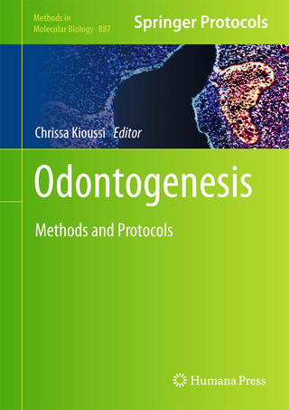 Odontogenesis