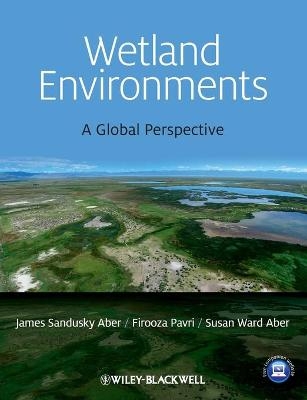 Wetland Environments - James S. Aber, Firooza Pavri, Susan W. Aber