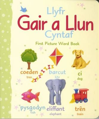 Llyfr Gair a Llun Cyntaf/First Picture Word Book - Dref Wen